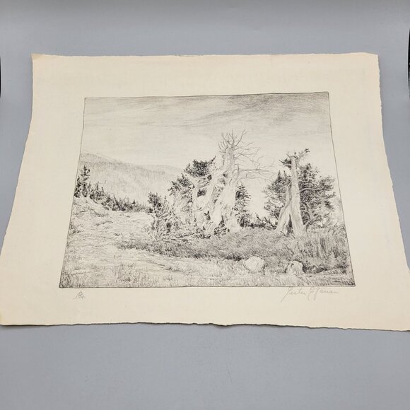 Landscape Scrub Trees Art Print Unframed Black White Signed Lester E Varian - Picture 1 of 7